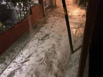 B457FF80-22C9-411E-B8F4-A77AD4F85383