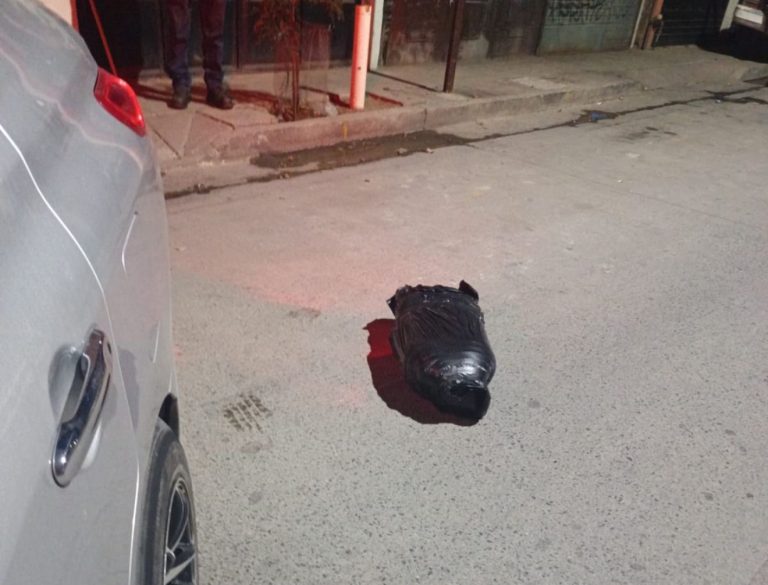 Encuentran restos humanos en León