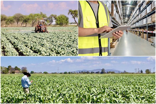 INCREMENTO DE MÁS DE 700% DEL SALDO COMERCIAL AGROPECUARIO REFLEJA LA RIQUEZA DEL CAMPO NACIONAL: SONAFI