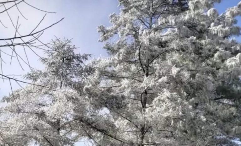 Sierra de Nuevo León se pinta de blanco por frente frío 24