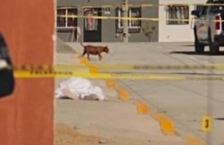 Atacan a dos albañiles en León; dejan un muerto y otro herido