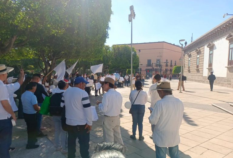 Más de 60 personas se manifiestan contra inseguridad en Irapuato