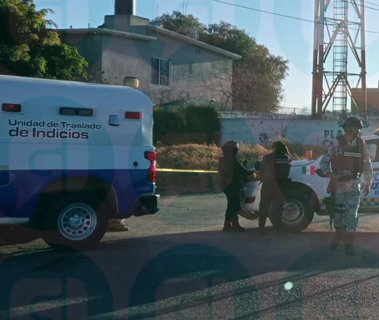 Encuentran dos cuerpos desmembrados en Irapuato