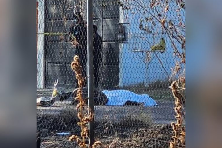 Ejecutan a hombre en la colonia Las Américas