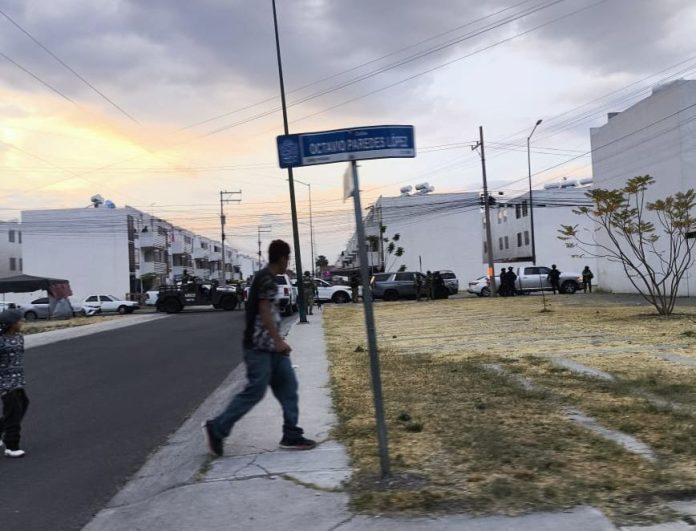 WhatsApp Image 2025-02-17 at 9.17.16 PM