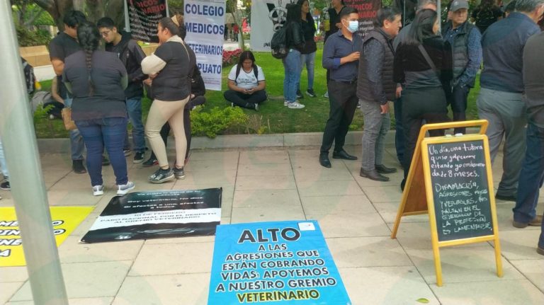 Irapuato vive “un día sin veterinarios”