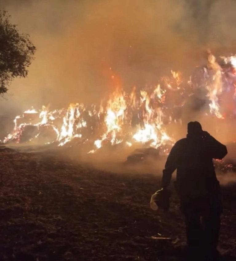 Incendio consume pacas de rastrojo en la carretera a Cueramaro