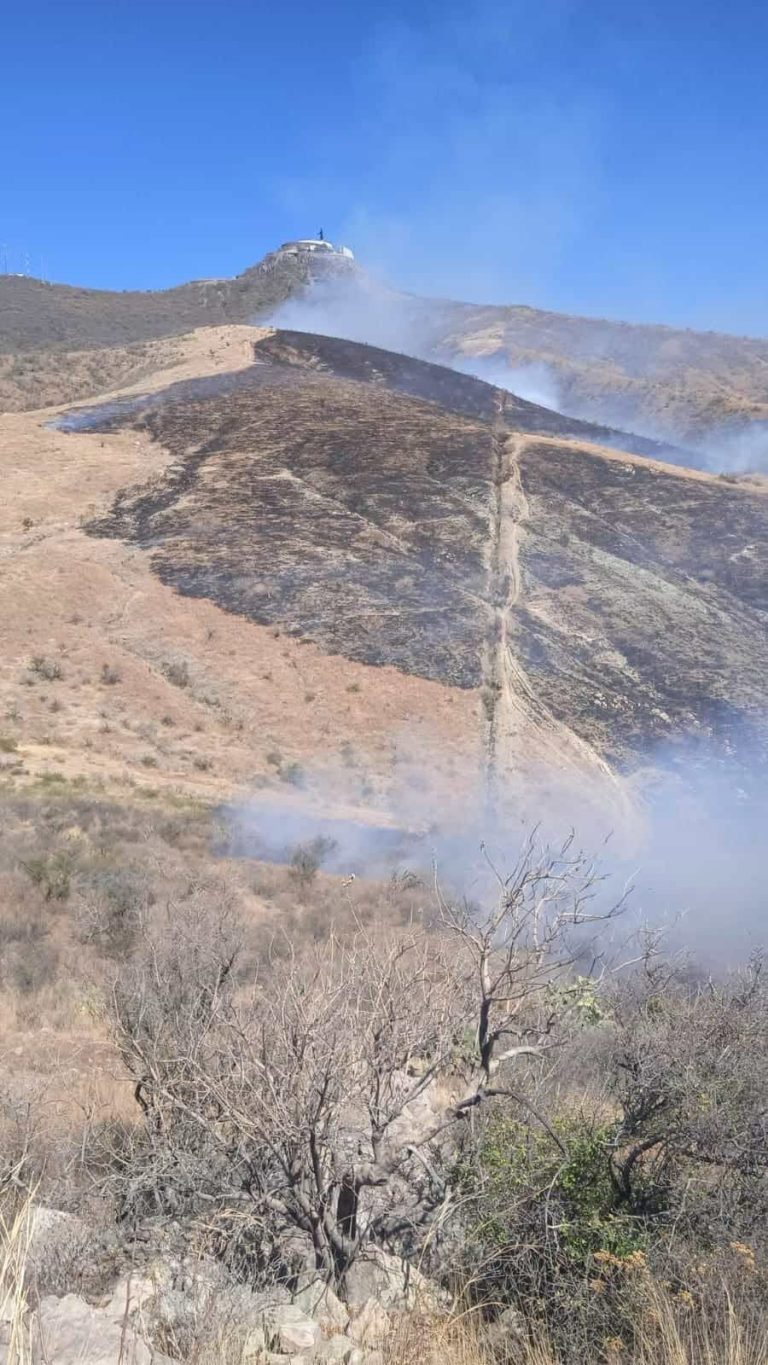 Incendio consume 20 hectáreas del Cerro del Cubilete