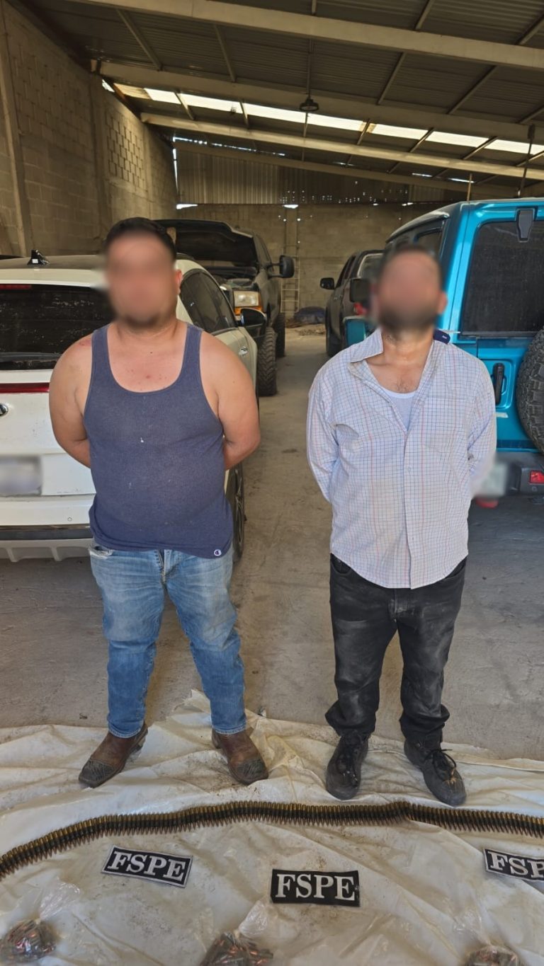 Aseguran Secretaría de Seguridad y Paz y fuerzas federales armas de alto poder y 11 vehículos tras operativo conjunto en Salamanca