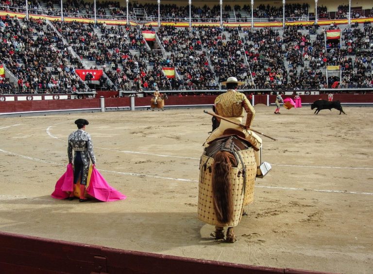 CDMX prohíbe corridas de toros con violencia