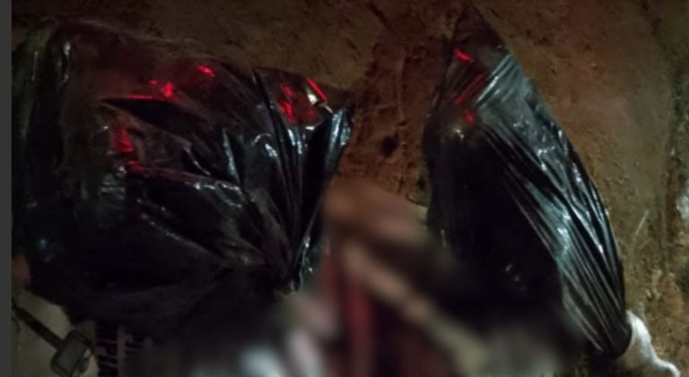 Encuentran restos humanos en Loma de Flores