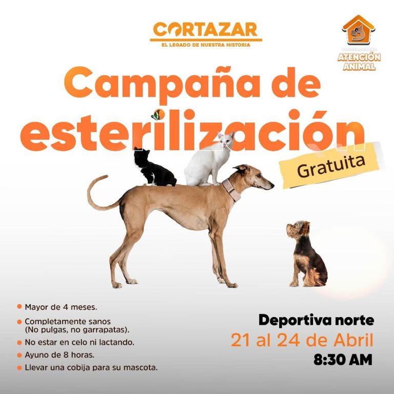 Invitan a campaña de esterilización en Cortazar