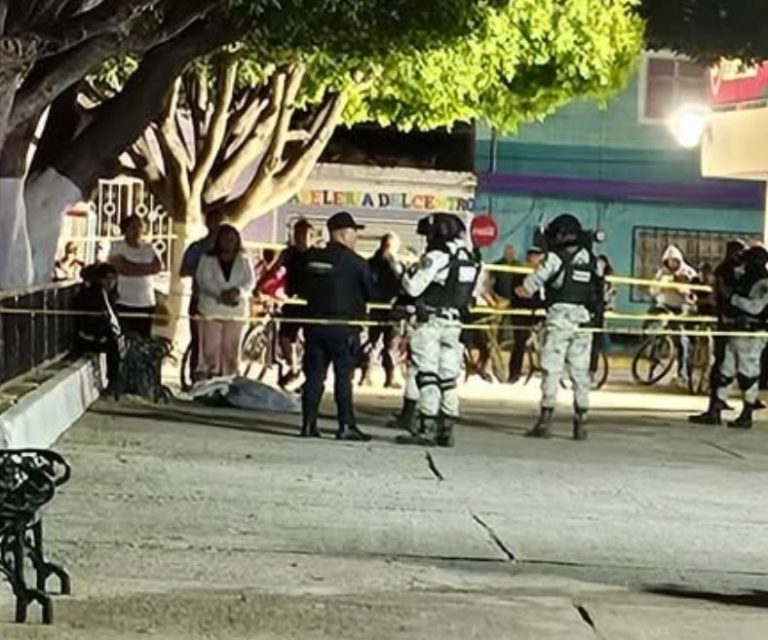 Ejecutan a un joven en el jardín principal de Valtierrilla