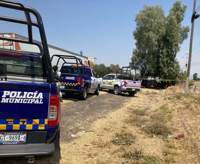 Encuentran camioneta con 5 cuerpos