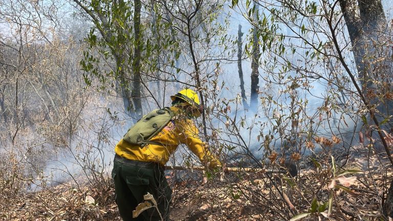 Controlan en 50% incendio en Sierra de los Agustinos