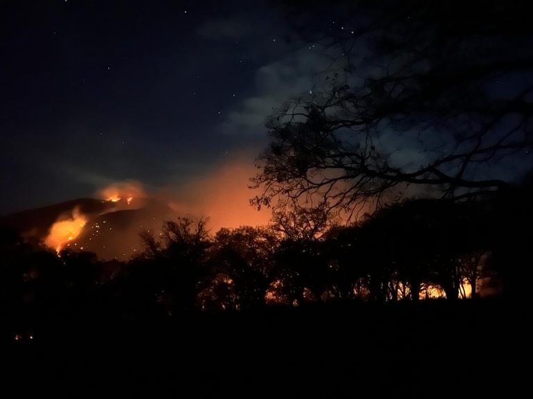 Continúan  labores para controlar incendio forestal en la Sierra de los Agustinos