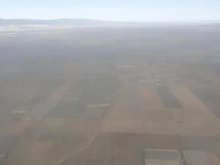 Heladas en plena primavera causan daños a cultivos en Hidalgo