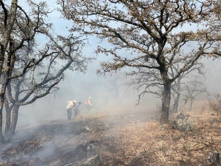 Liquidación del incendio en la Sierra de los Agustinos alcanza el 95%; ya está totalmente controlado