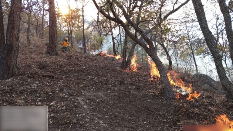 Avanza control del incendio forestal en la Sierra de Puruagua; se reporta 40% de liquidación