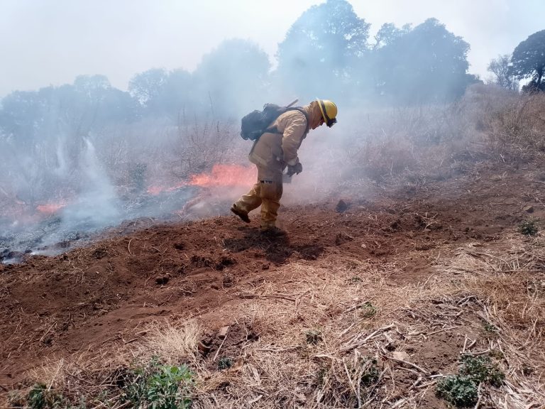 Protección Civil estatal, en coordinación con los tres niveles de gobierno, combate incendio forestal en el Cerro de Amoles