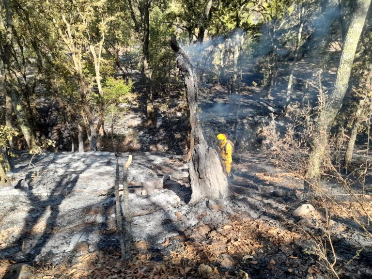 Avanza combate del incendio forestal en Los Amoles; reporta Protección Civil Estatal 70% de control
