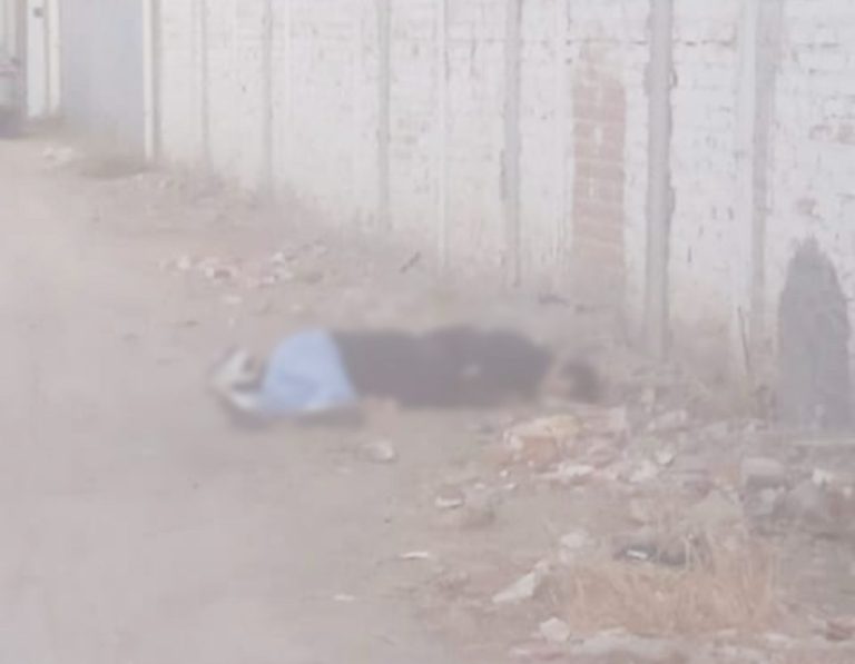 Localizan dos personas sin vida en Rinconada Arboledas en Celaya