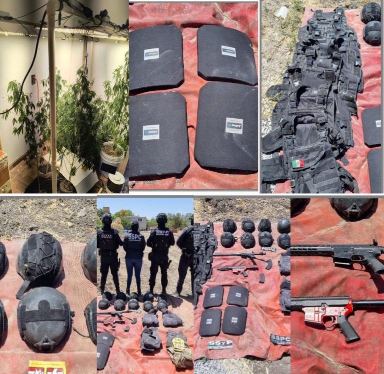 Cateo en Santa Rosa de Lima deja armamento, equipo táctico y un invernadero con presunta marihuana