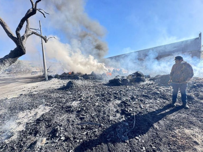 Pide Observatorio Ciudadano mejorar coordinación institucional por incremento en incendios
