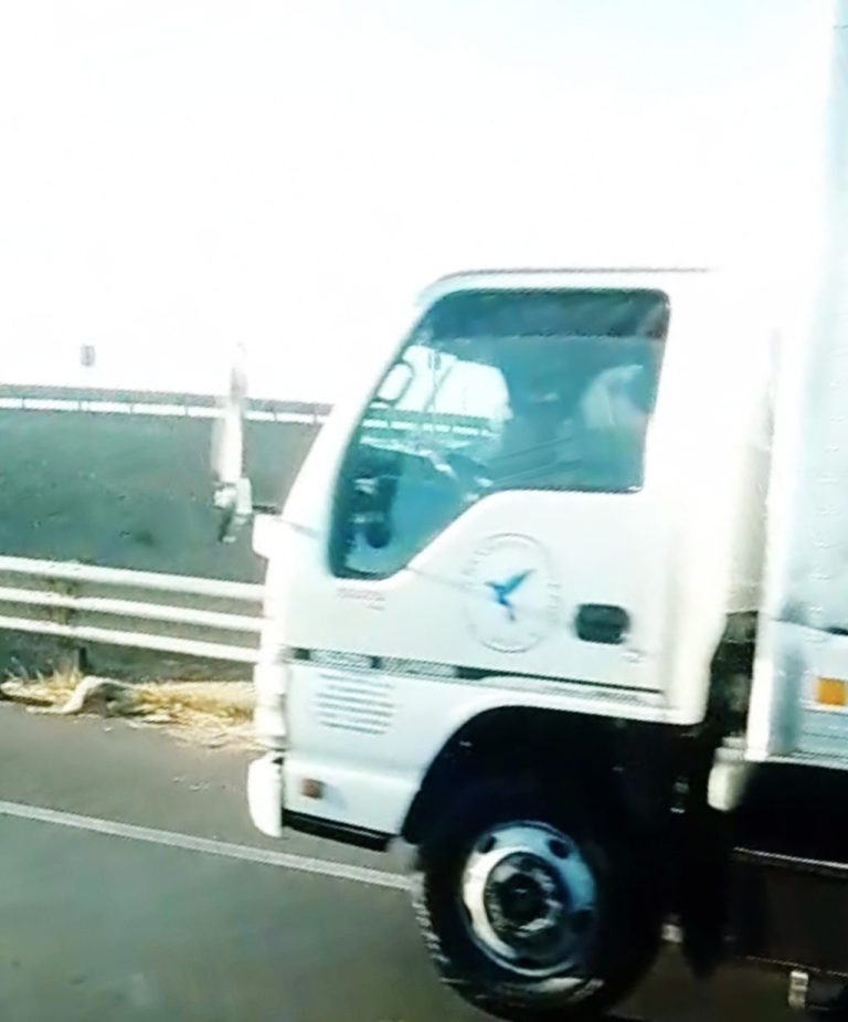 Balean camión en la Celaya – Apaseo