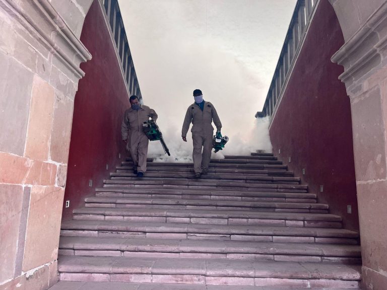 Suma  Guanajuato 4 semanas sin dengue