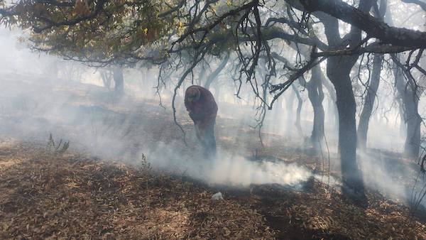 Atienden incendio forestal en el cerro de Culiacán; autoridades piden evitar la zona