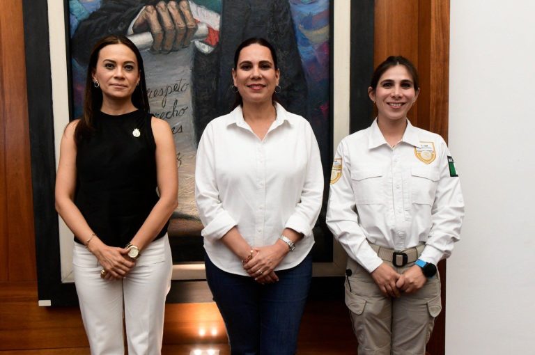 Hacen frente común para atender asentamiento de migrantes en Iraouato