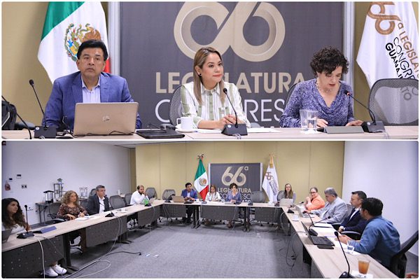 Avanza análisis de iniciativa que busca aprovechar los residuos orgánicos para generar energía.