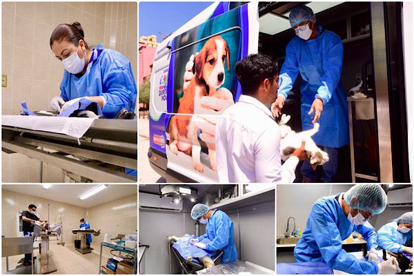 HABRÁ GRAN JORNADA DE ESTERILIZACIÓN GRATUITA
