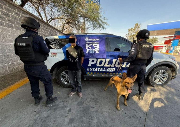Deny, oficial canino de FSPE, apoya en la detención de un hombre armado en León