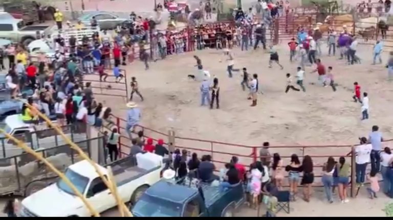 Indignación por “carreras de gatos” en Xichú; exigen castigo a responsables