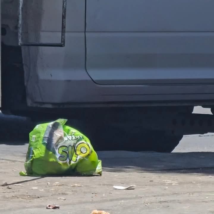 Encuentran feto de 6 meses en bote de basura de León
