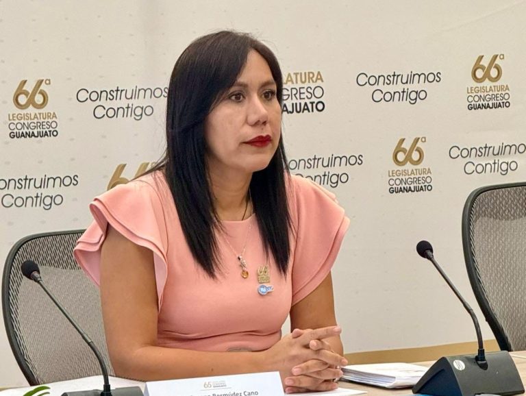 Diputada pide a municipios partida para atender violencia de género