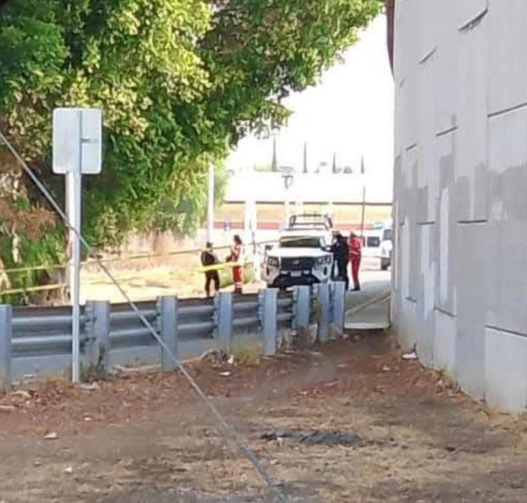 Localizan dos cuerpos sin vida debajo de un árbol y encobijados en Mexicanos