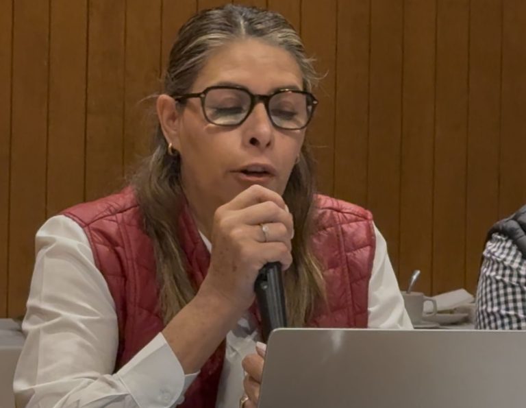 Cuestiona regidora de MORENA reconocimientos internacionales al municipio de Irapuato