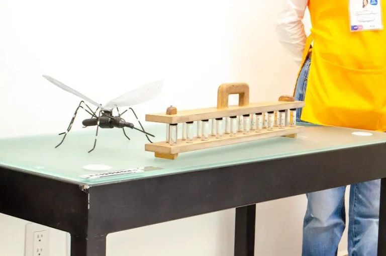Reportan 34 casos de dengue en Guanajuato