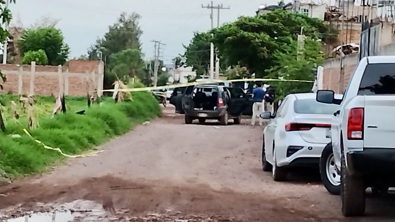 Recuperan camioneta robada en Abasolo