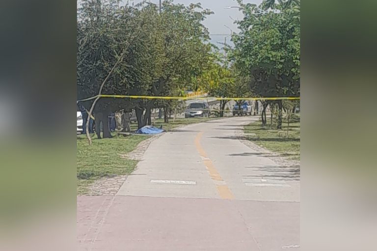 Ejecutan a hombre mientras descansaba abajo de un árbol en la carretera León-Santana del Conde