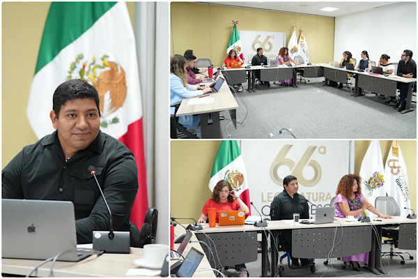 Analizan iniciativa del PAN y PRD que fortalece el servicio social profesional