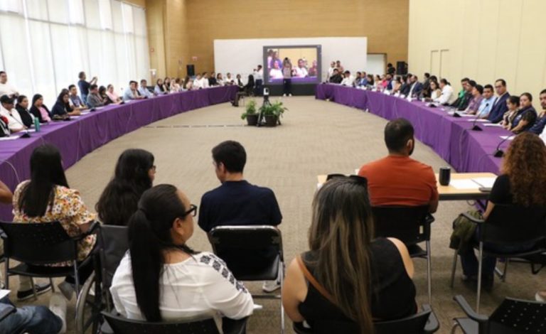 Dan a conocer protocolo del proceso de consulta a personas con discapacidad