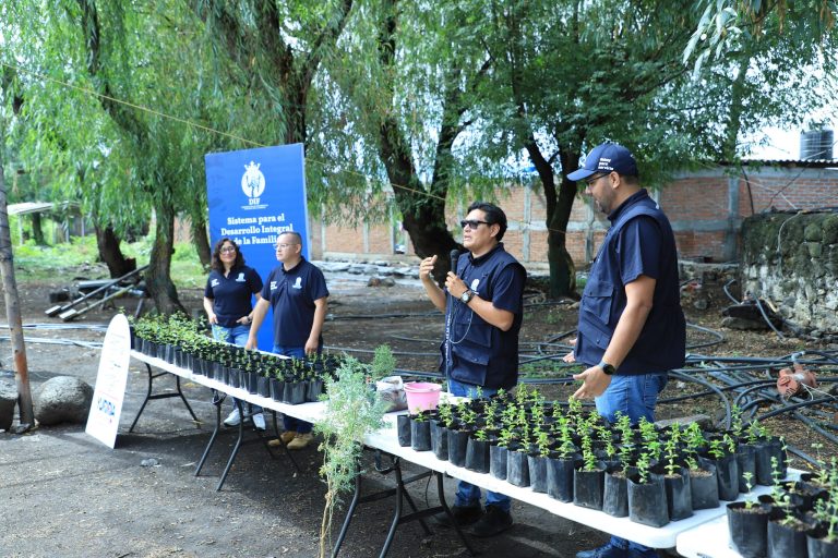 Entregan plantas aromáticas en los Grupos de Desarrollo en las localidades de Yuriria y Jaral del Progreso