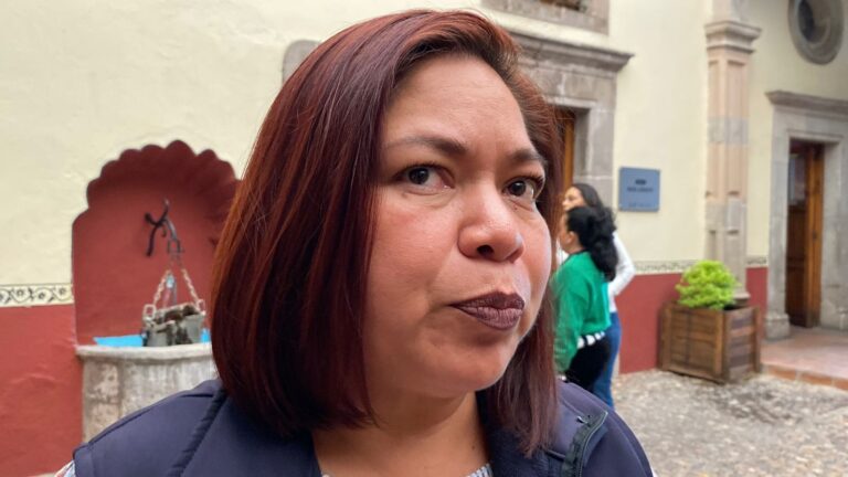 Gobierno de Irapuato evalúa estado de árboles en escuelas