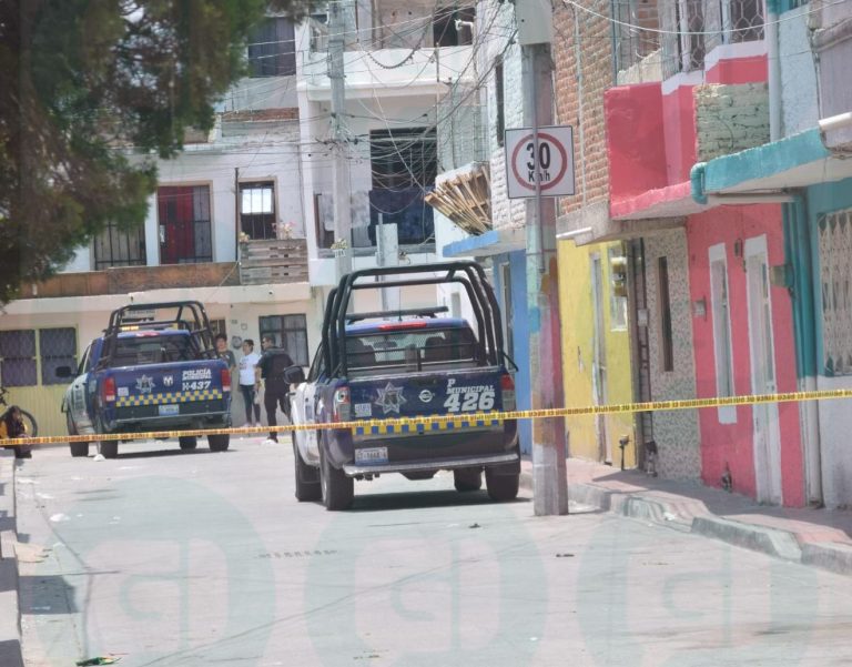 No descansan hasta matarlo
