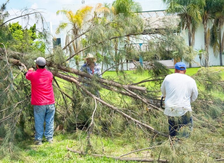 Apoya Gobierno Municipal a la UPG ante daños ocasionados por lluvias