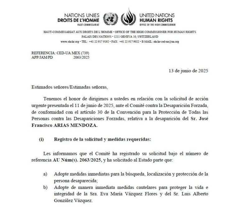 Emite ONU acción urgente para localizar a buscador desaparecido en Irapuato